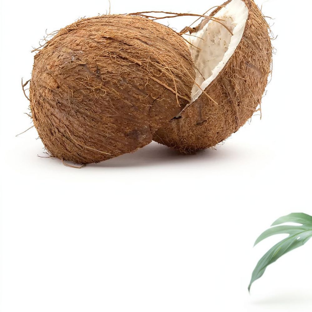 Substrato de tierra de fibra d - Substrate Coconut Fiber reseña y precio