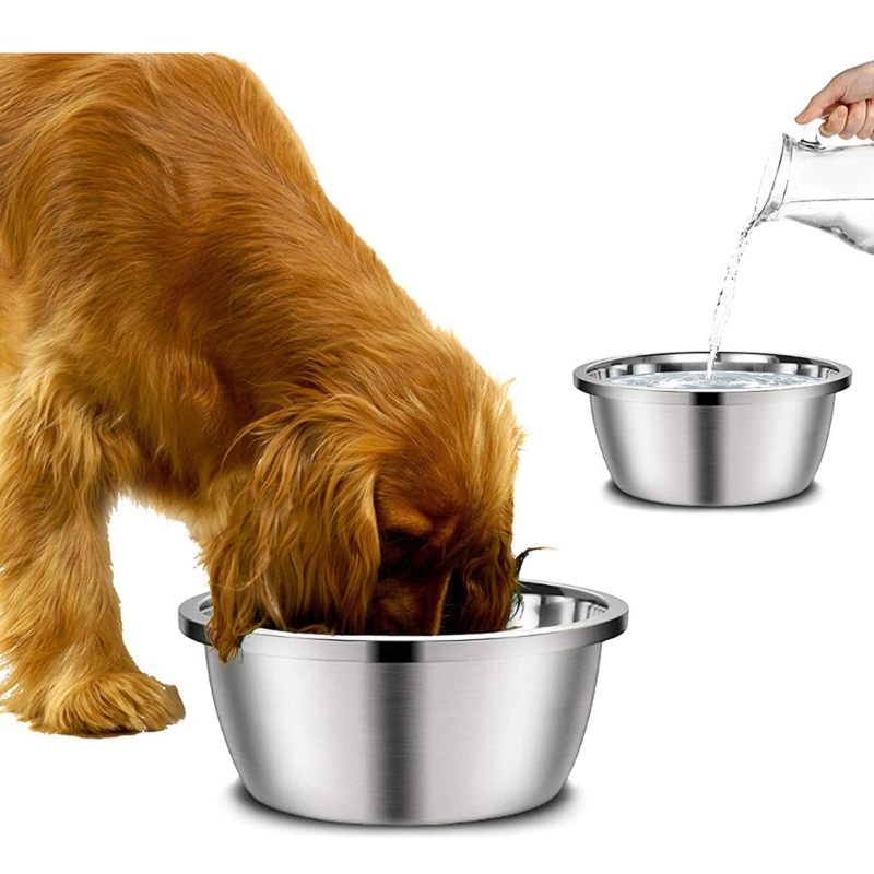 Comedero de Acero Inoxidable p - Royal Canin Food Medium reseña y precio